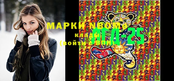 PSILOCYBIN Иннополис