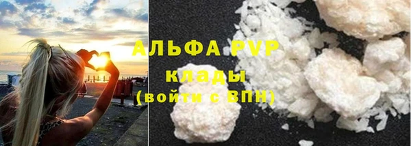 PSILOCYBIN Иннополис