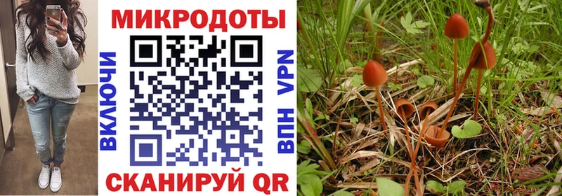 Галлюциногенные грибы Magic Shrooms  Купить закладки  Топки 